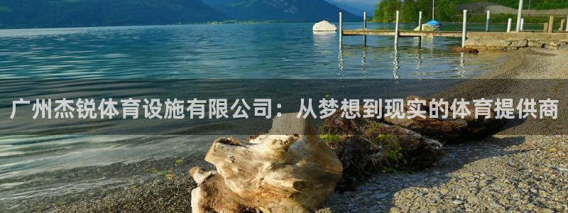 意昂4官方：广州杰锐体育设施有限公司：从梦想到现实的