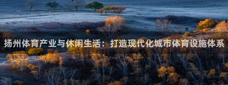 意昂体育4：扬州体育产业与休闲生活：打造现代化城市体
