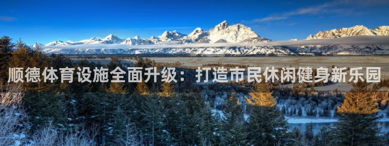 意昂体育4平台假的吗是真的吗：顺德体育设施全面升级：