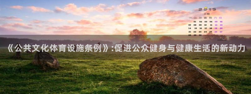 意昂体育4平台是正规平台吗：《公共文化体育设施条例》