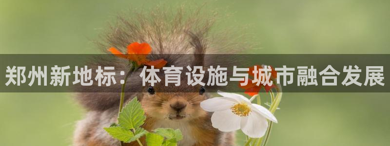 意昂4娱乐首页网站大全：郑州新地标：体育设施与城市融