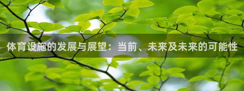 意昂4五金厂：体育设施的发展与展望：当前、未来及未来
