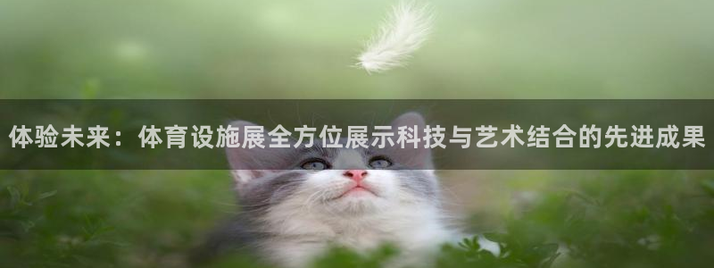 意昂平台体育：体验未来：体育设施展全方位展示科技与艺
