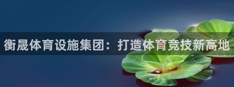 意昂体育4平台注册要钱吗安全吗：衡晟体育设施集团：打
