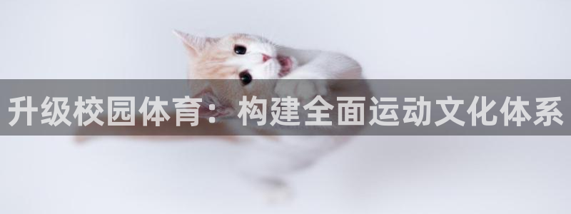 注册意昂4：升级校园体育：构建全面运动文化体系