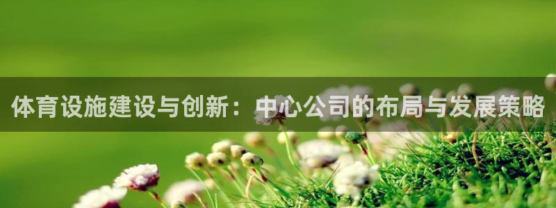 意昂体育4平台注册流程视频：体育设施建设与创新：中心