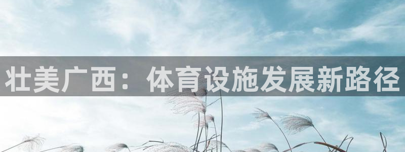 意昂体育4平台APP：壮美广西：体育设施发展新路径