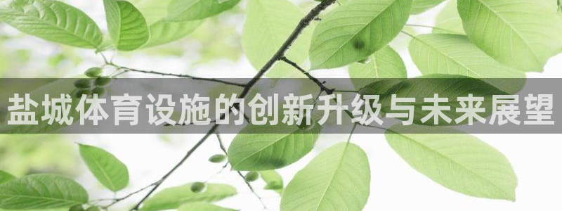 意昂4娱乐：盐城体育设施的创新升级与未来展望