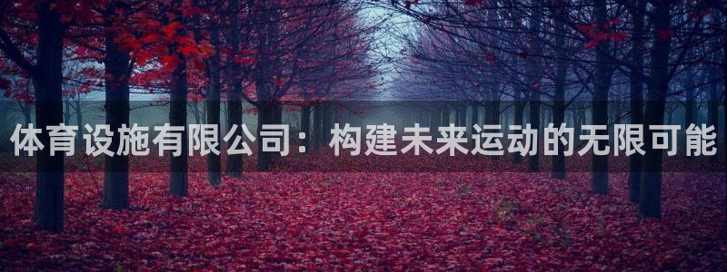 意昂平台体育：体育设施有限公司：构建未来运动的无限可