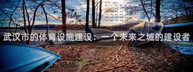 意昂4娱乐下载：武汉市的体育设施建设：一个未来之城的