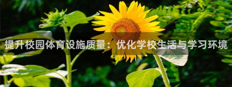 意昂体育4招商电话号码：提升校园体育设施质量：优化学