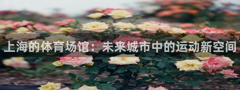 意昂体育4招商电话号码：上海的体育场馆：未来城市中的