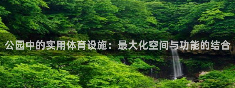 意昂4娱乐首页官网下载：公园中的实用体育设施：最大化