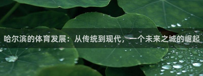意昂4集团：哈尔滨的体育发展：从传统到现代，一个未来