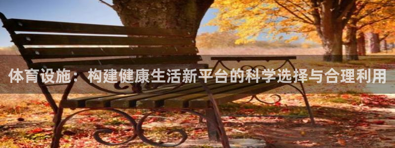 意昂集团官网：体育设施：构建健康生活新平台的科学选择与合理利