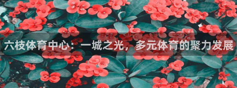 意昂4集团官网网址：六枝体育中心：一城之光，多元体育