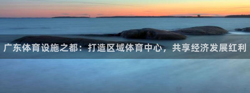 意昂体育4软件：广东体育设施之都：打造区域体育中心，