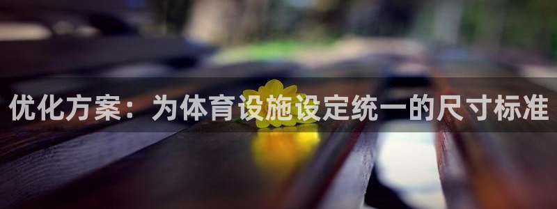 意昂体育4招商电话号码是多少：优化方案：为体育设施设