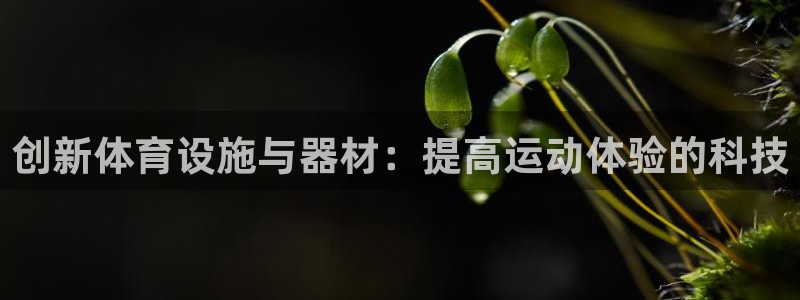 意昂体育4娱乐：创新体育设施与器材：提高运动体验的科