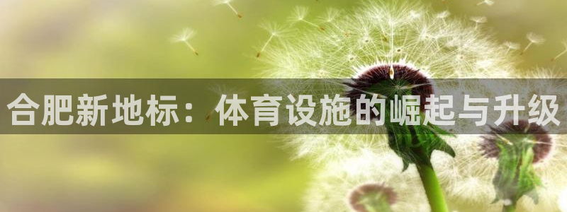 意昂体育4招商电话号码：合肥新地标：体育设施的崛起与升级