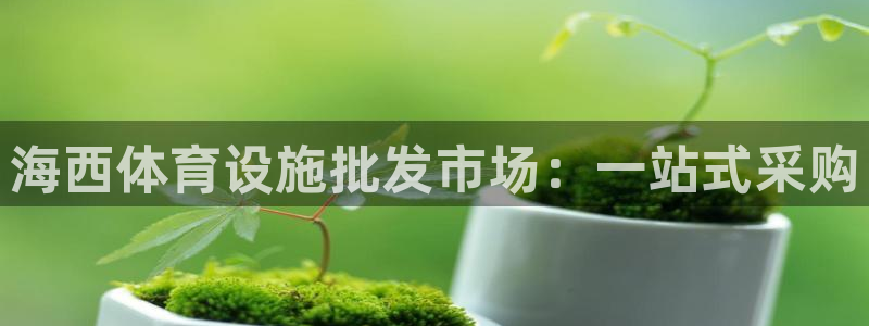 意昂体育4娱乐：海西体育设施批发市场：一站式采购
