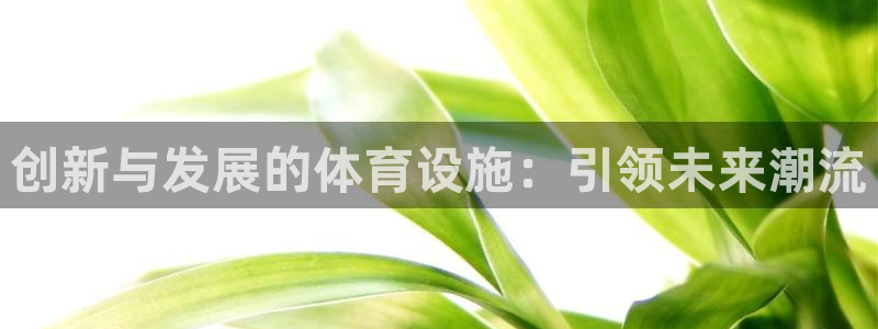 意昂体育4平台注册流程图：创新与发展的体育设施：引领