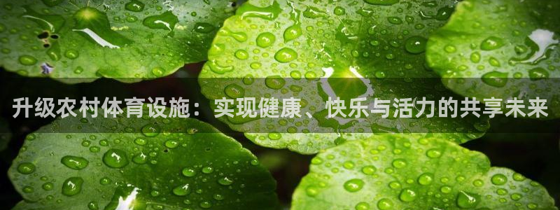 意昂4集团官网网址：升级农村体育设施：实现健康、快乐
