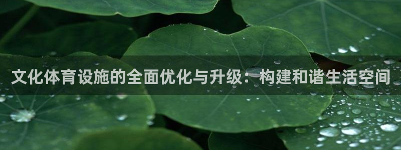 意昂体育4平台是正规平台吗安全吗：文化体育设施的全面