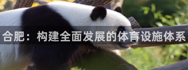 意昂体育4软件：合肥：构建全面发展的体育设施体系