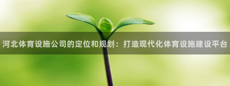 意昂体育4官方客服电话：河北体育设施公司的定位和规划