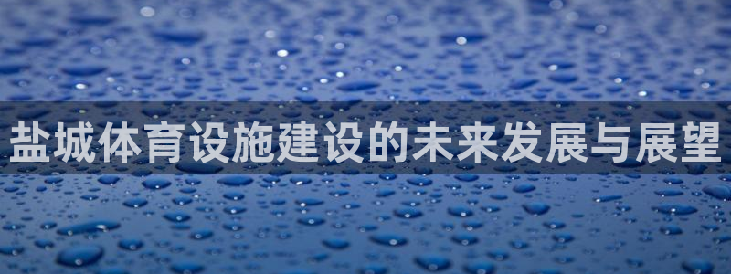 意昂4集团：盐城体育设施建设的未来发展与展望