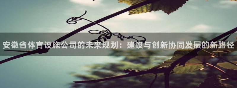 意昂4五金厂：安徽省体育设施公司的未来规划：建设与创新协同发 