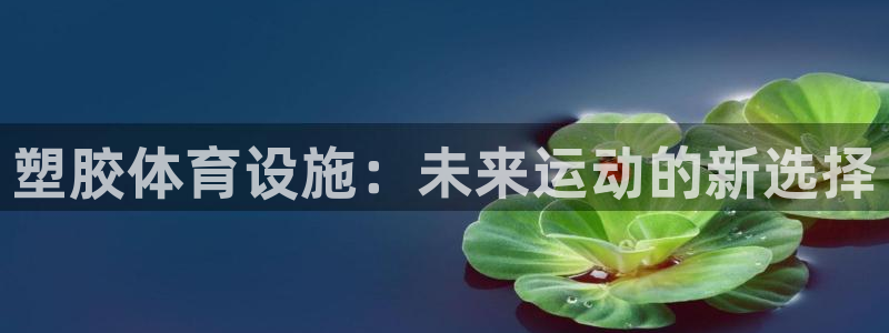 意昂4娱乐网站：塑胶体育设施：未来运动的新选择 