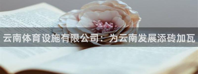 意昂体育4招商电话地址是多少：云南体育设施有限公司：