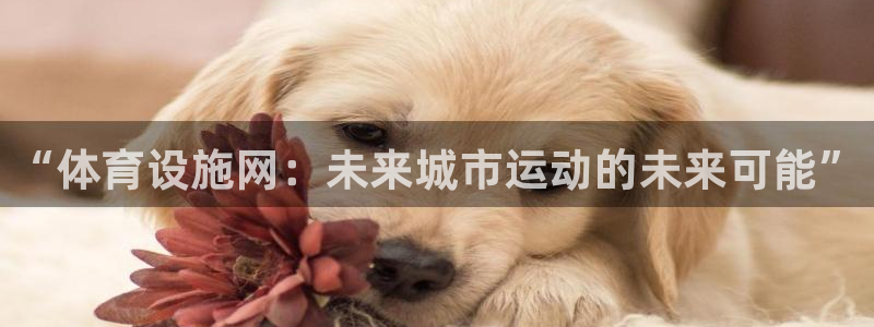 意昂4代理：“体育设施网：未来城市运动的未来可能”