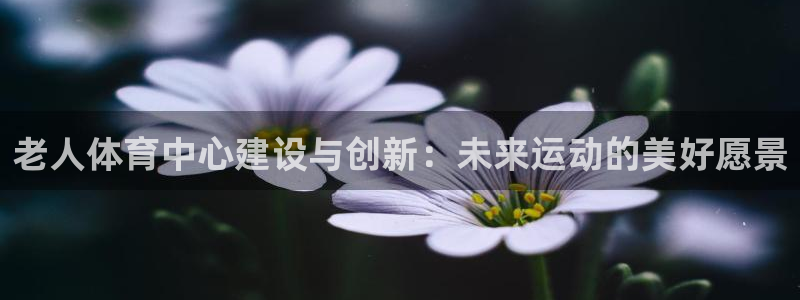 意昂体育4平台是正规平台吗：老人体育中心建设与创新：