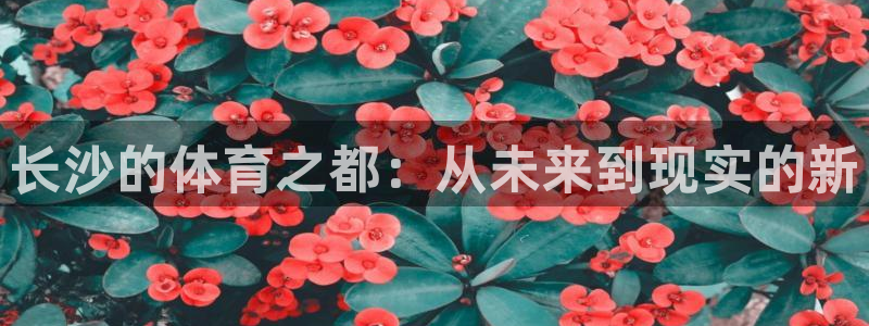 意昂4官方：长沙的体育之都：从未来到现实的新