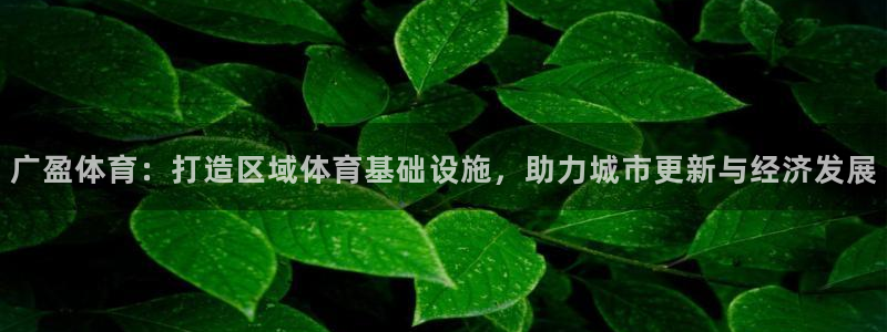 意昂体育4是干嘛的公司：广盈体育：打造区域体育基础设