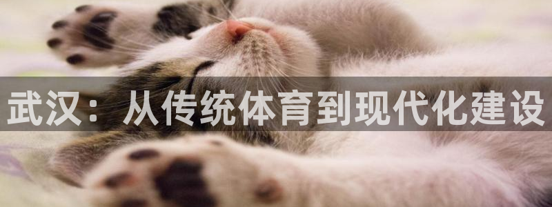 意昂4娱乐：武汉：从传统体育到现代化建设