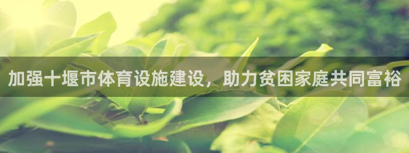 海南意昂体育4：加强十堰市体育设施建设，助力贫困家庭