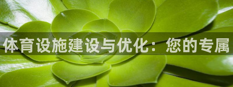 意昂4集团简介：体育设施建设与优化：您的专属