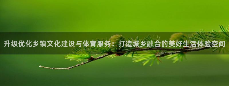 意昂体育4平台注册流程视频：升级优化乡镇文化建设与体