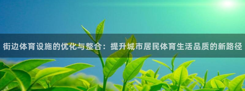 海南意昂体育4：街边体育设施的优化与整合：提升城市居