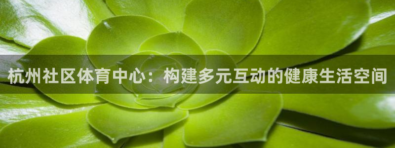 意昂4娱乐首页网站大全：杭州社区体育中心：构建多元互