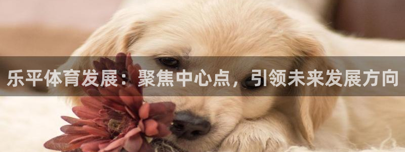 意昂4集团logo：乐平体育发展：聚焦中心点，引领未