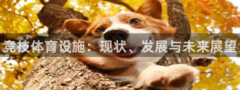 意昂体育4平台假的吗是真的吗吗：竞技体育设施：现状、