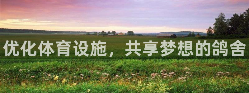 意昂体育4注册：优化体育设施，共享梦想的鸽舍