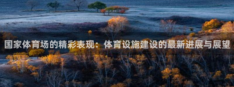 意昂体育4娱乐：国家体育场的精彩表现：体育设施建设的