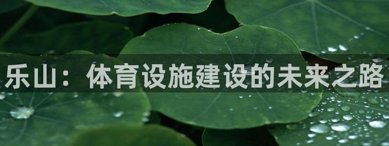 意昂4神州：乐山：体育设施建设的未来之路