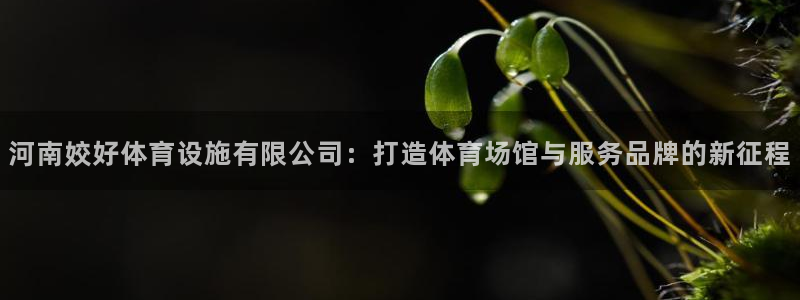 意昂4集团官网首页网址：河南姣好体育设施有限公司：打